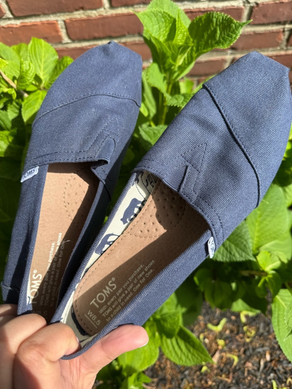 Toms Navy Blue Canvas Espadrilles